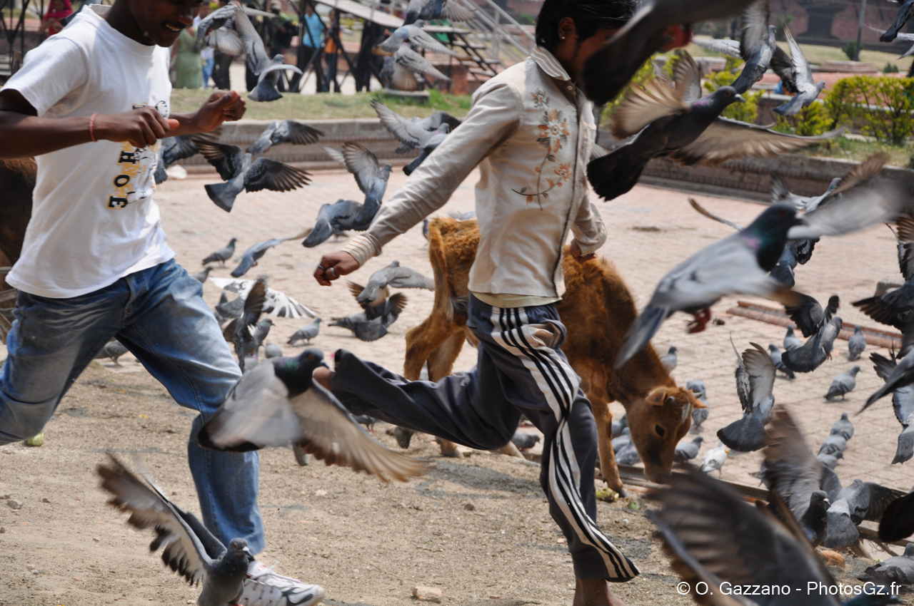 Photo instantanée..Katmandou, Népal - 2 avril 2012